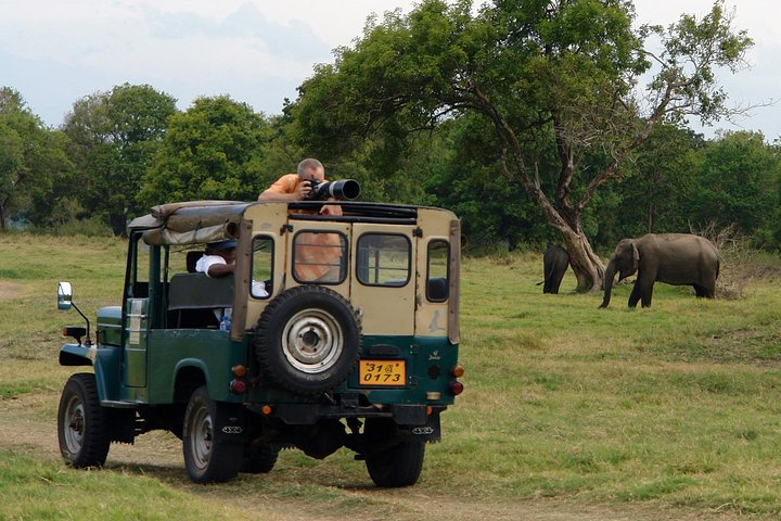 Animal Kingdom - UDAWALAWE Day Tour - Photo 1 of 6
